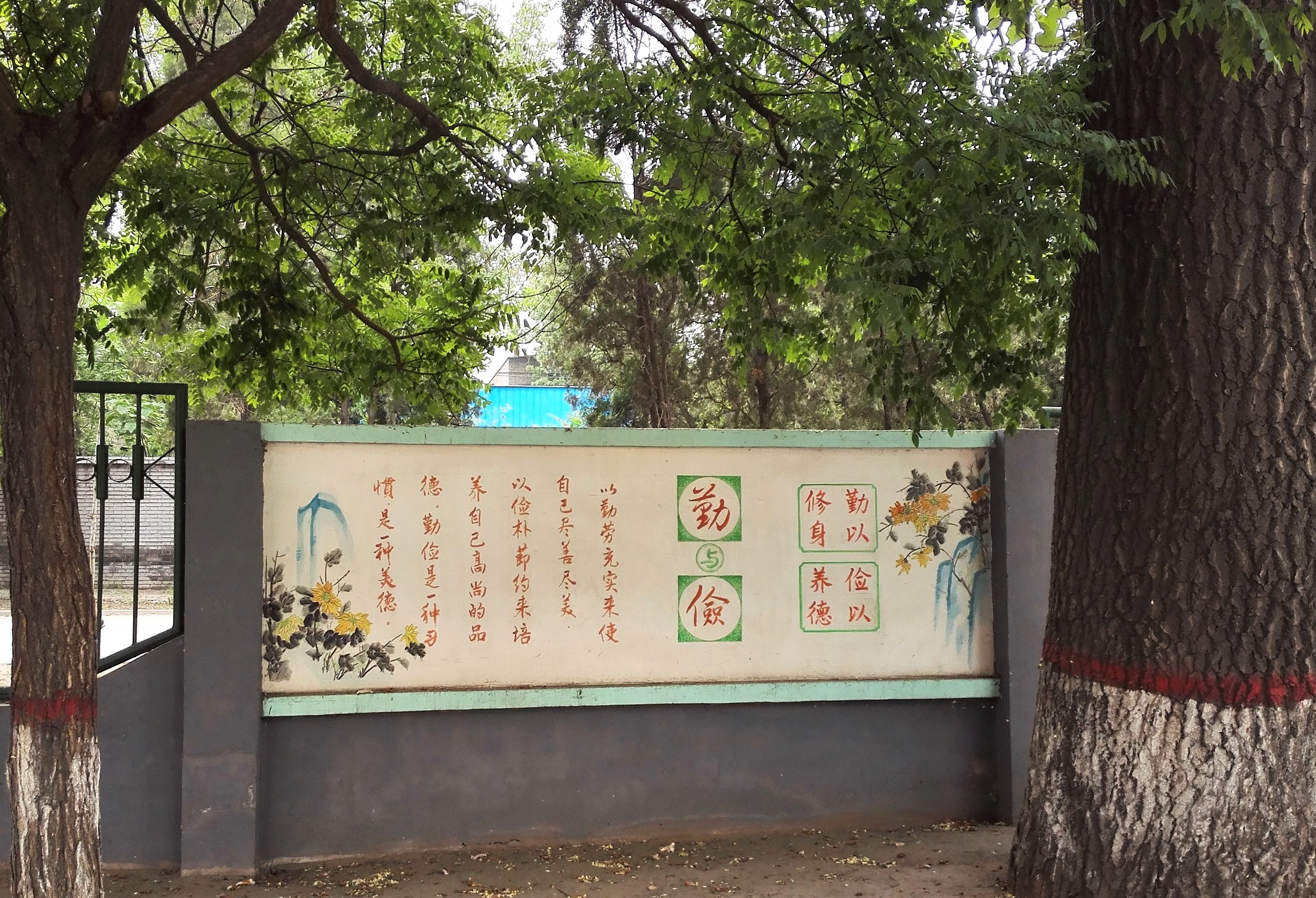 13.校園文化，根深葉茂.jpg